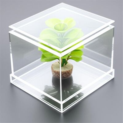 Customize Transparent Acrylic Storage Box Can Be Used to Display Plant