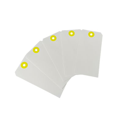 Custom  Waterproof Blank  Shipping Tag Synthetic Paper Hang Tags.